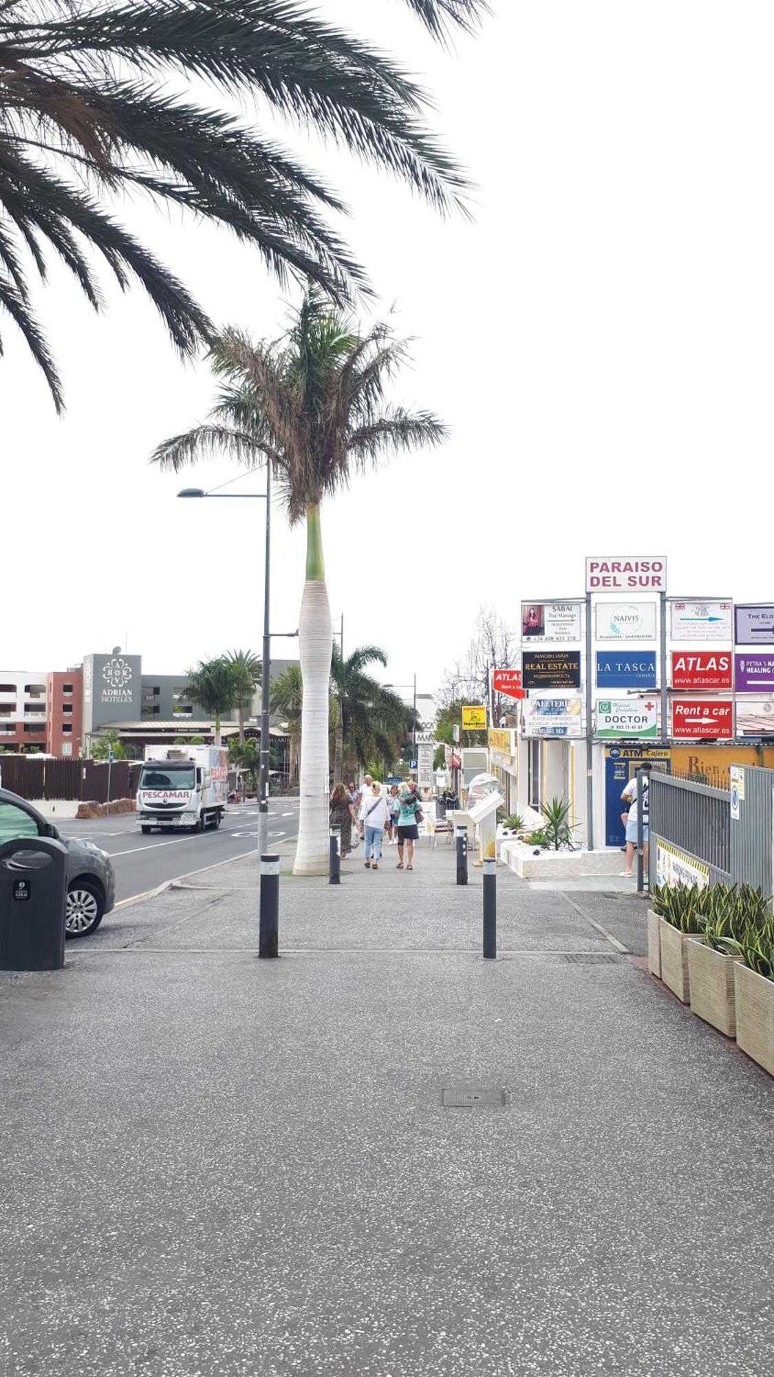 Spectacular View Playa Paraiso アデヘ エクステリア 写真
